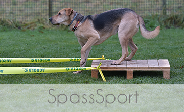 Spasssport