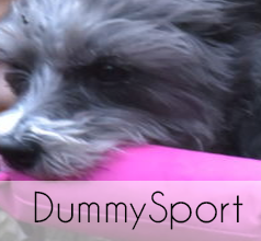 Anbieter für DummySport