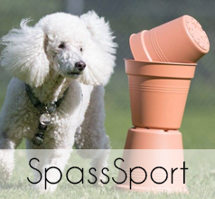 Anbieter für SpassSport
