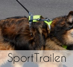 Anbieter für SportTrailen